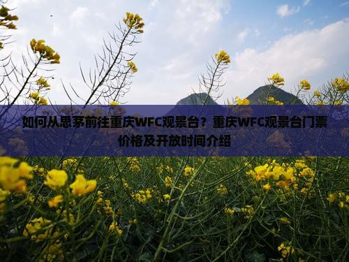 如何从思茅前往重庆WFC观景台？重庆WFC观景台门票价格及开放时间介绍