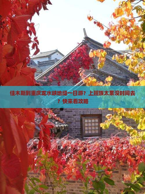 佳木斯到重庆龙水峡地缝一日游？上班族太累没时间去？快来看攻略