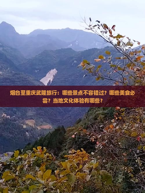 烟台至重庆武隆旅行：哪些景点不容错过？哪些美食必尝？当地文化体验有哪些？
