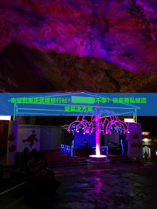 东营到重庆武隆旅行社？旅游预算不够？快来看私域流量解决方案