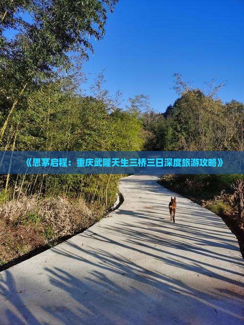 《思茅启程：重庆武隆天生三桥三日深度旅游攻略》