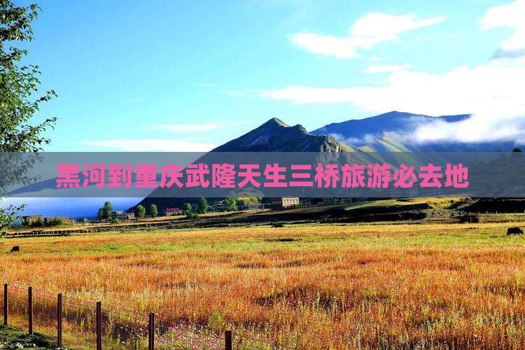 黑河到重庆武隆天生三桥旅游必去地