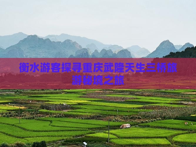 衡水游客探寻重庆武隆天生三桥旅游秘境之旅 衡水游客探寻重庆武隆天生三桥旅游秘境之旅