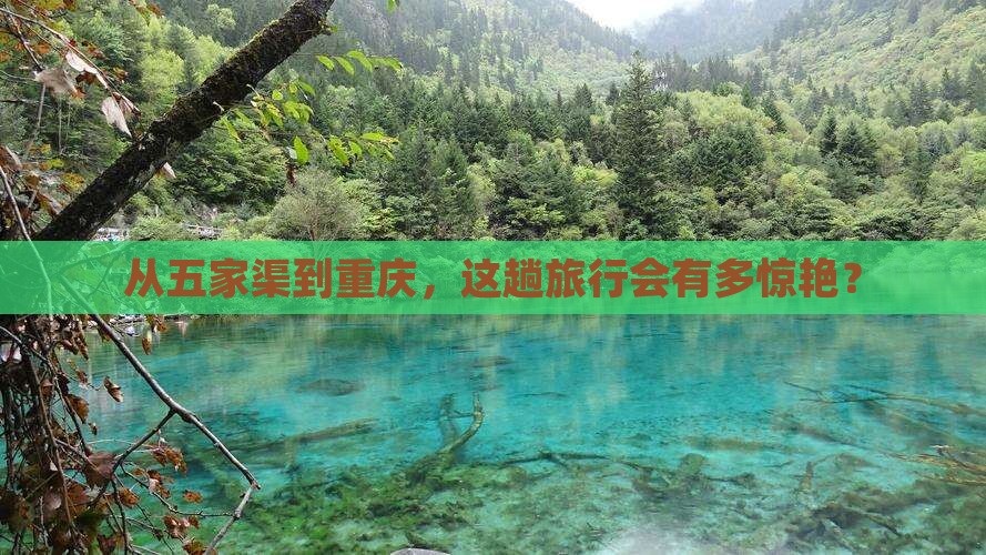 从五家渠到重庆，这趟旅行会有多惊艳？