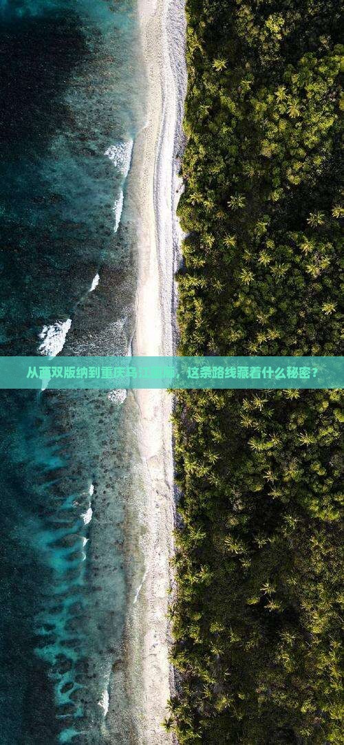 从西双版纳到重庆乌江画廊，这条路线藏着什么秘密？