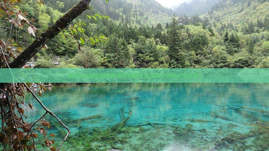 如何从德阳出发游览重庆武隆天生三桥必去景点与攻略？