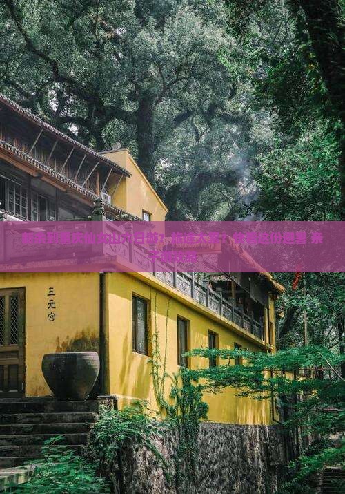新余到重庆仙女山六日游？旅途太累？快看这份避暑+亲子游攻略
