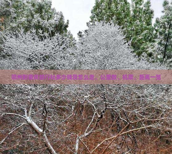鄂州到重庆旅行社多少钱及怎么走、公里数、机票、距离一览