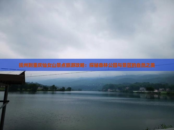 抚州到重庆仙女山景点旅游攻略：探秘森林公园与景区的自然之美