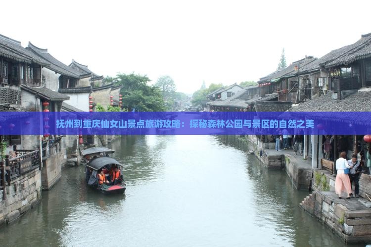 抚州到重庆仙女山景点旅游攻略：探秘森林公园与景区的自然之美