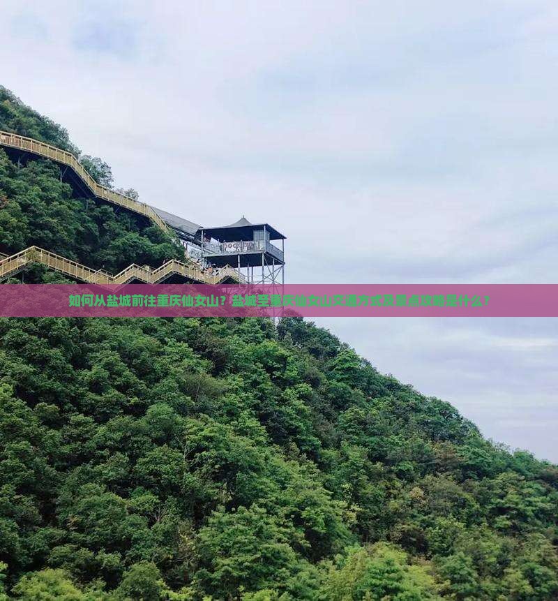 如何从盐城前往重庆仙女山？盐城至重庆仙女山交通方式及景点攻略是什么？