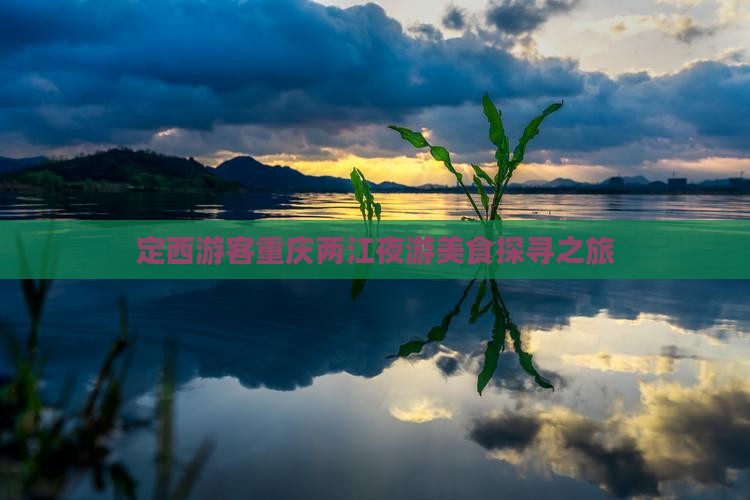 定西游客重庆两江夜游美食探寻之旅
