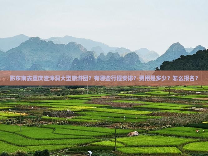 黔东南去重庆渣滓洞大型旅游团？有哪些行程安排？费用是多少？怎么报名？