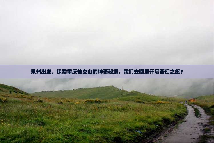 泉州出发，探索重庆仙女山的神奇秘境，我们去哪里开启奇幻之旅？
