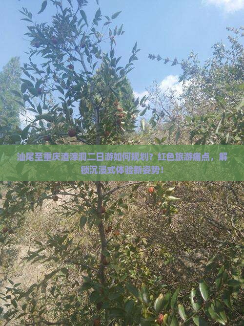 汕尾至重庆渣滓洞二日游如何规划？红色旅游痛点，解锁沉浸式体验新姿势！