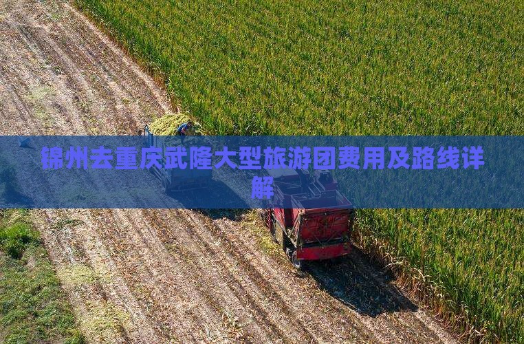 锦州去重庆武隆大型旅游团费用及路线详解