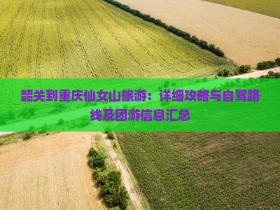 韶关到重庆仙女山旅游：详细攻略与自驾路线及团游信息汇总