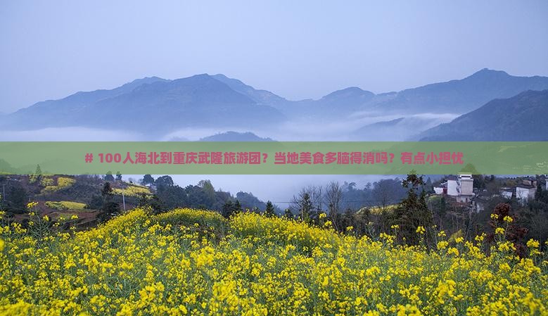 # 100人海北到重庆武隆旅游团？当地美食多脑得消吗？有点小担忧