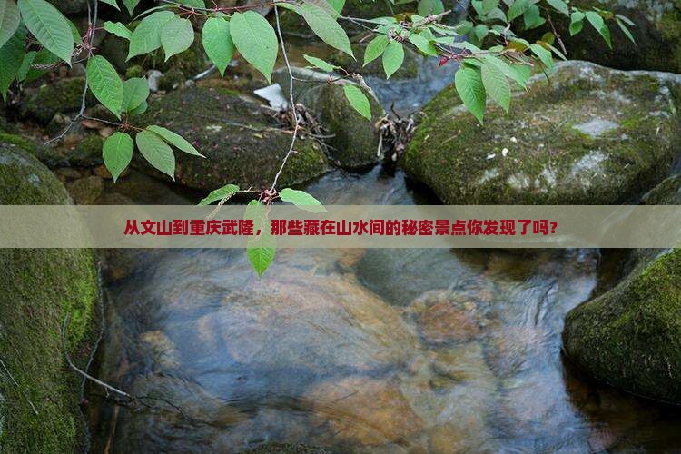 从文山到重庆武隆，那些藏在山水间的秘密景点你发现了吗？