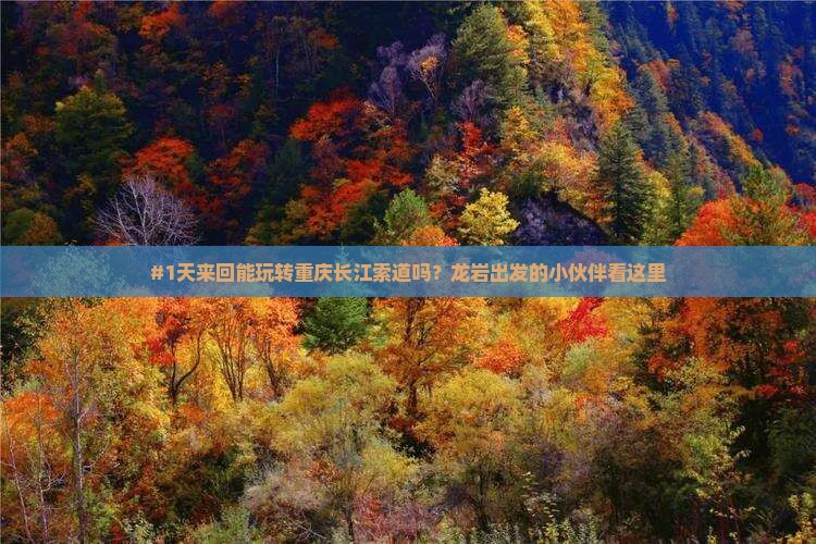 #1天来回能玩转重庆长江索道吗？龙岩出发的小伙伴看这里