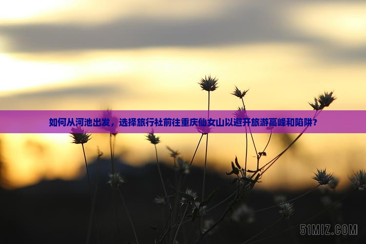 如何从河池出发，选择旅行社前往重庆仙女山以避开旅游高峰和陷阱？