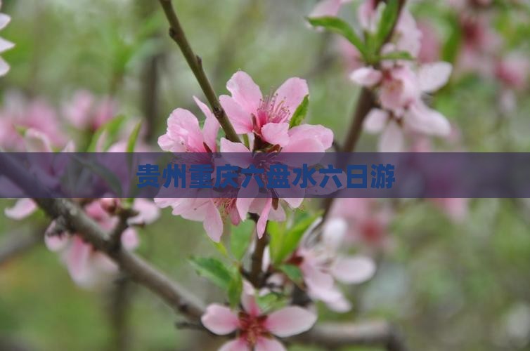 贵州重庆六盘水六日游