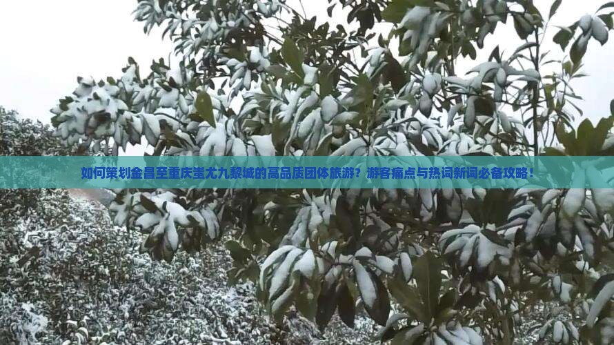 如何策划金昌至重庆蚩尤九黎城的高品质团体旅游？游客痛点与热词新词必备攻略！