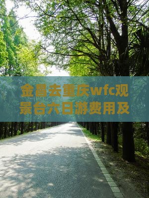 金昌去重庆wfc观景台六日游费用及路线
