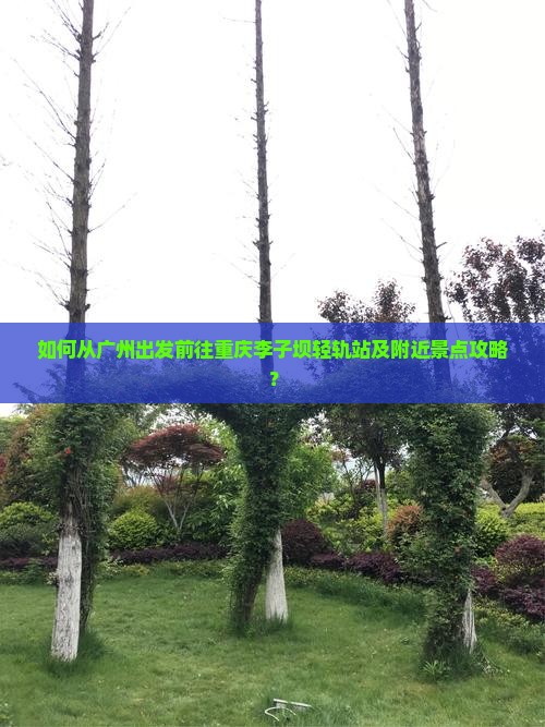 如何从广州出发前往重庆李子坝轻轨站及附近景点攻略？