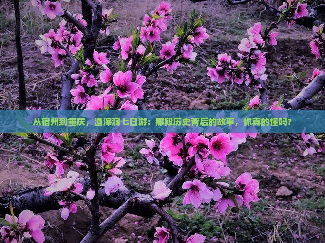 从宿州到重庆，渣滓洞七日游：那段历史背后的故事，你真的懂吗？