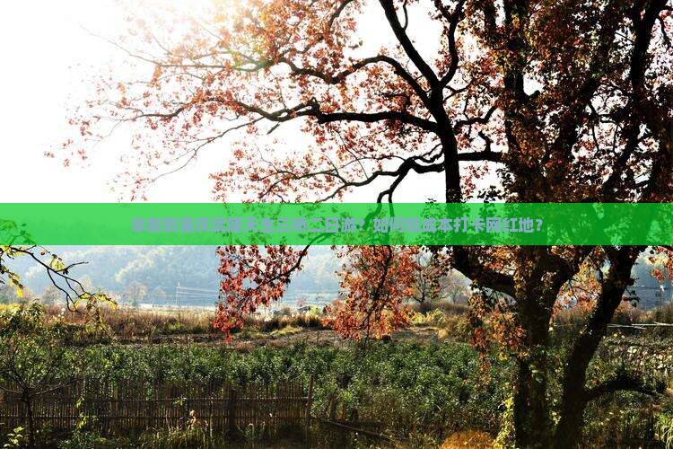 阜新到重庆武隆天生三桥二日游？如何低成本打卡网红地？