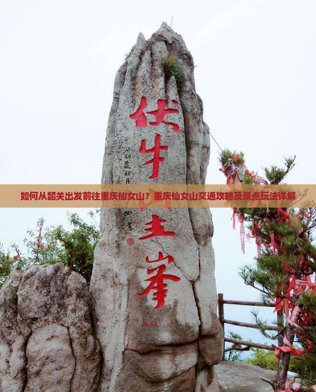 如何从韶关出发前往重庆仙女山？重庆仙女山交通攻略及景点玩法详解