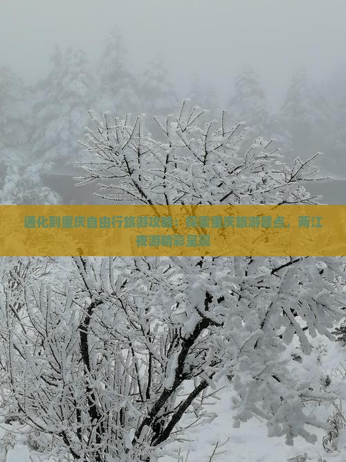通化到重庆自由行旅游攻略：探索重庆旅游景点，两江夜游精彩呈现