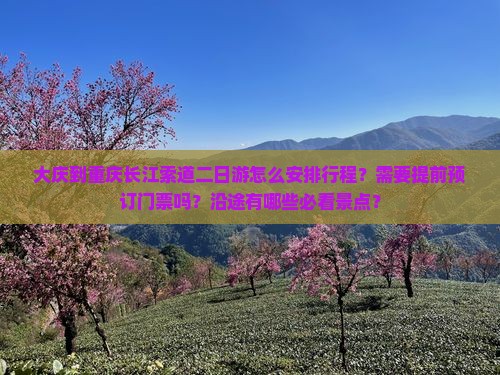 大庆到重庆长江索道二日游怎么安排行程？需要提前预订门票吗？沿途有哪些必看景点？