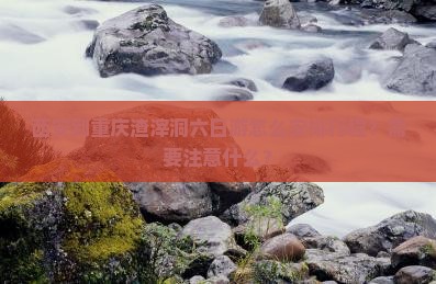 西安到重庆渣滓洞六日游怎么安排行程？需要注意什么？