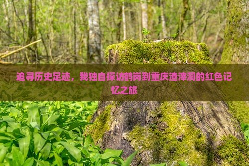 追寻历史足迹，我独自探访鹤岗到重庆渣滓洞的红色记忆之旅