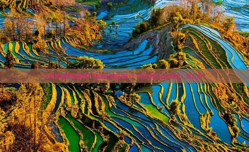 大同到重庆四日游？跟团还是自由行？纠结中有点小焦虑，怎么办？