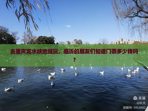 去重庆龙水峡地缝玩，临沂的朋友们知道门票多少钱吗？