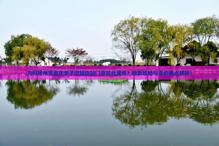为何扬州至重庆李子坝轻轨站门票如此紧俏？抢票攻略与票价痛点解析！