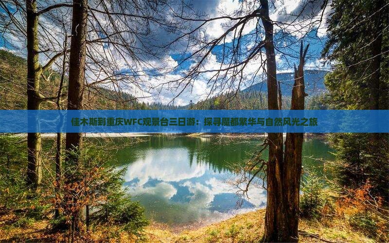 佳木斯到重庆WFC观景台三日游：探寻魔都繁华与自然风光之旅