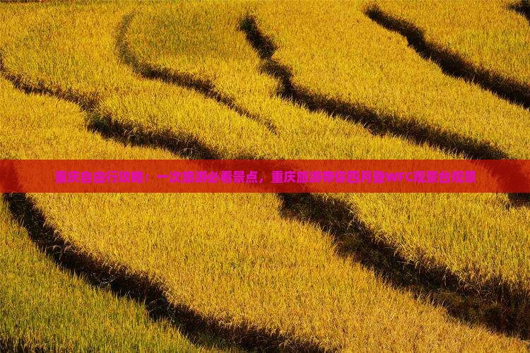 重庆自由行攻略：一次旅游必看景点，重庆旅游带你四月登WFC观景台观景