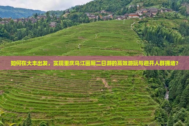如何在大丰出发，实现重庆乌江画廊二日游的高效游玩与避开人群拥堵？