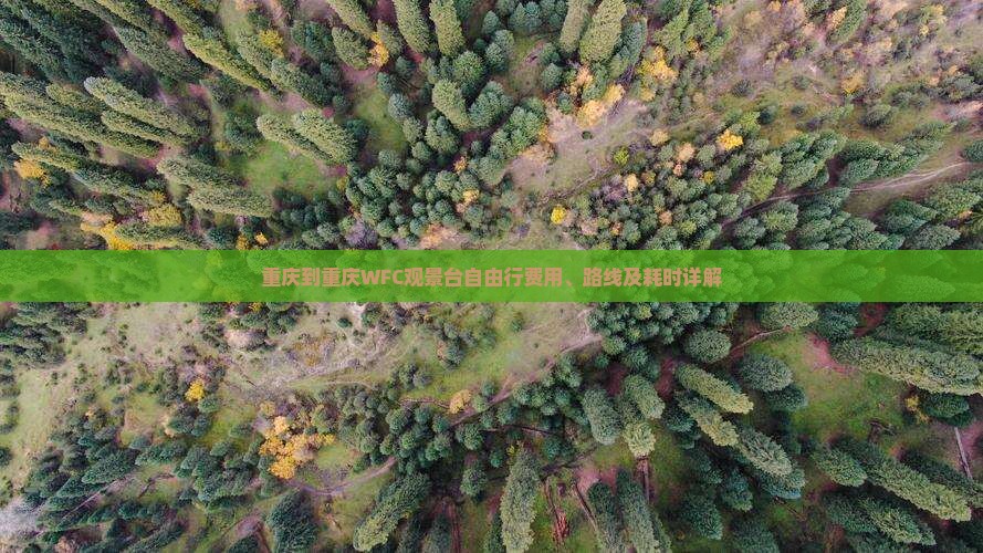 重庆到重庆WFC观景台自由行费用、路线及耗时详解