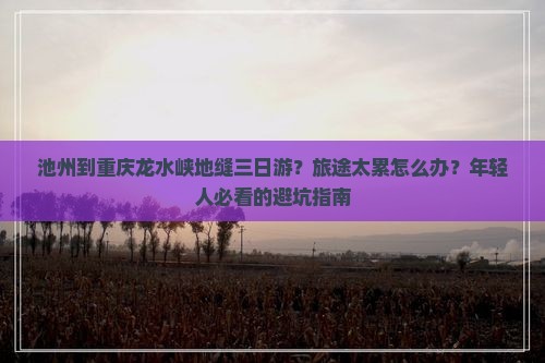 池州到重庆龙水峡地缝三日游？旅途太累怎么办？年轻人必看的避坑指南