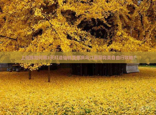 上班族如何用3天打造仙桃至重庆乌江画廊完美自由行攻略？