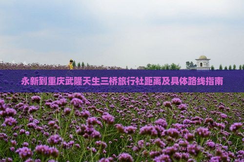 永新到重庆武隆天生三桥旅行社距离及具体路线指南