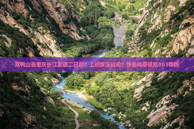 双鸭山去重庆长江索道二日游?上班族没时间?快看种草极氪001带路 双鸭山去重庆长江索道二日游?上班族没时间?快看种草极氪001带路
