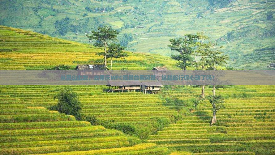 从眉山出发，去重庆WFC观景台看风景，这趟旅行你心动了吗？