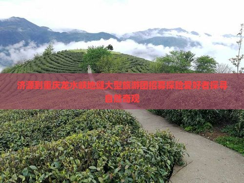 济源到重庆龙水峡地缝大型旅游团招募探险爱好者探寻自然奇观