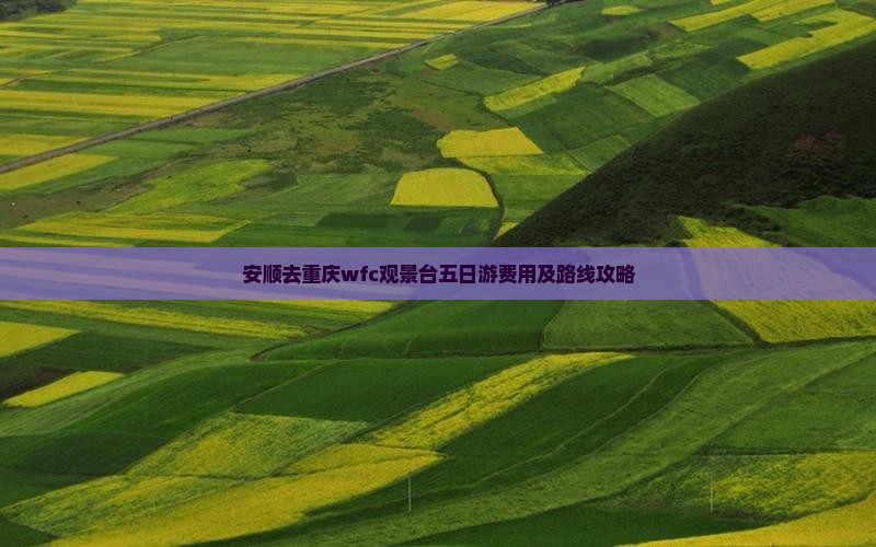 安顺去重庆wfc观景台五日游费用及路线攻略